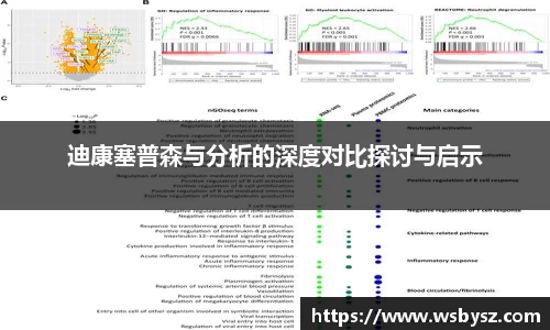 迪康塞普森与分析的深度对比探讨与启示